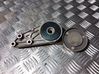 Napinacz paska alternatora 950442