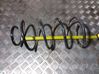 Front coil spring 