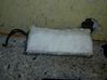 Airbag del pasajero 72128231630