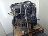 Variklis ZD3200