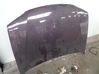 Motorhaube 