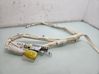 Roof airbag BJ3214K159BB