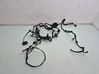 Cableado de puerta delantera FR3T14630BJ