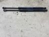 Tailgate/trunk strut/damper 