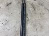 Tailgate/trunk strut/damper 