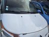 Engine bonnet/hood 00007901Q7