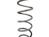 Rear coil spring 00005102CV
