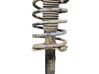 Front shock absorber with coil spring 00005208N0
