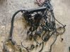 Engine installation wiring loom 7521194