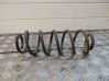 Rear coil spring 