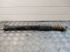 Rear shock absorber/damper 