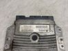 Engine control unit/module 215842882A