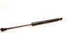 Tailgate/trunk strut/damper 30649439