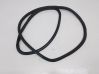 Rear door rubber seal (on body) 3CN867914B