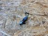 Airbag deployment crash/impact sensor FK7214B006AA