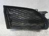 Front bumper lower grill 