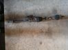 Front driveshaft 44305020