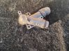Engine coolant pipe/hose G4D38A544AA