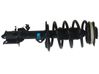 Amortiguador delantero con muelle espiral E43025SJ1B