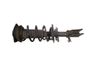 Front shock absorber with coil spring 543029762R