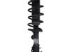 Front shock absorber with coil spring 11295209