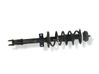Amortiguador delantero con muelle espiral 543029903R