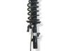 Amortiguador delantero con muelle espiral 6G9118K001UAE