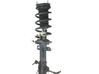 Front shock absorber with coil spring 1905880