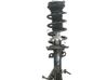 Front shock absorber with coil spring 1905889
