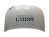 Motorhaube 5730079J00000