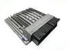 Engine control unit/module 7555361