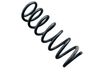Muelle espiral trasero 30683569