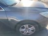 Guardabarro 569055
