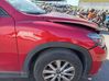 Guardabarro 586214