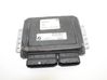 Engine control unit/module 7539808