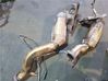 Katalizatorius/ FAP/DPF kietųjų dalelių filtras 7516730