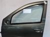 Puerta delantera 801019012R
