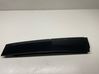 Rear door glass trim molding 