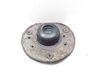 Coil spring mount 