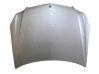 Motorhaube 