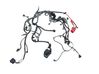Engine installation wiring loom 30782470