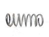 Front coil spring 