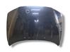 Engine bonnet/hood 