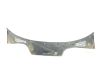Moldura del limpia 51318398820