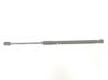 Front bonnet/hood damper/strut 39150008