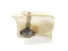 Coolant expansion tank/reservoir 254304D100
