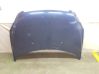 Engine bonnet/hood 7901J9