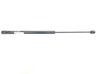 Tailgate/trunk strut/damper 8P4827552B