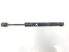 Tailgate/trunk strut/damper 30799160