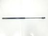 Tailgate/trunk strut/damper 817700X000